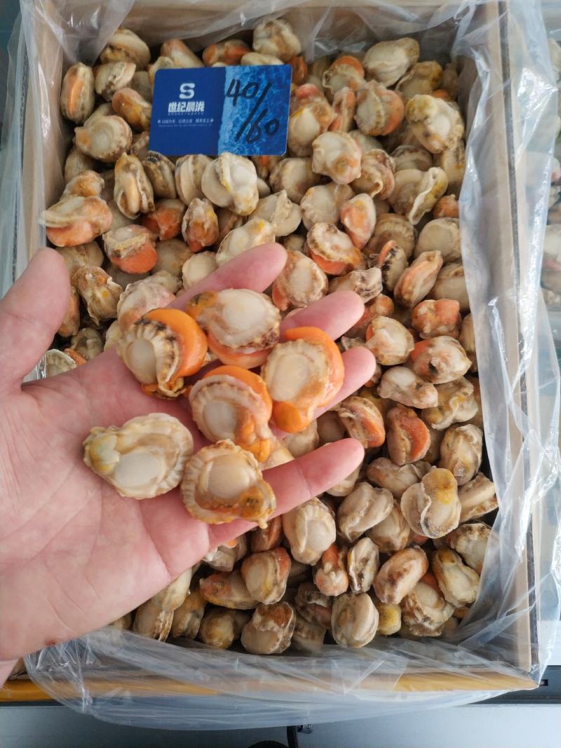 原汁扇贝肉正宗长岛红贝带黄率高每件2包10斤/件