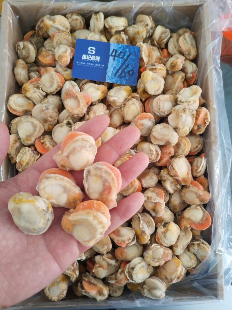 原汁扇贝肉正宗长岛红贝带黄率高每件2包10斤/件