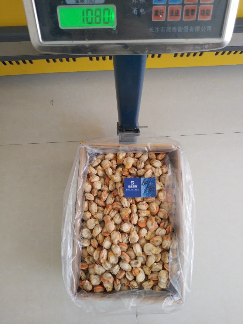 原汁扇贝肉正宗长岛红贝带黄率高每件2包10斤/件