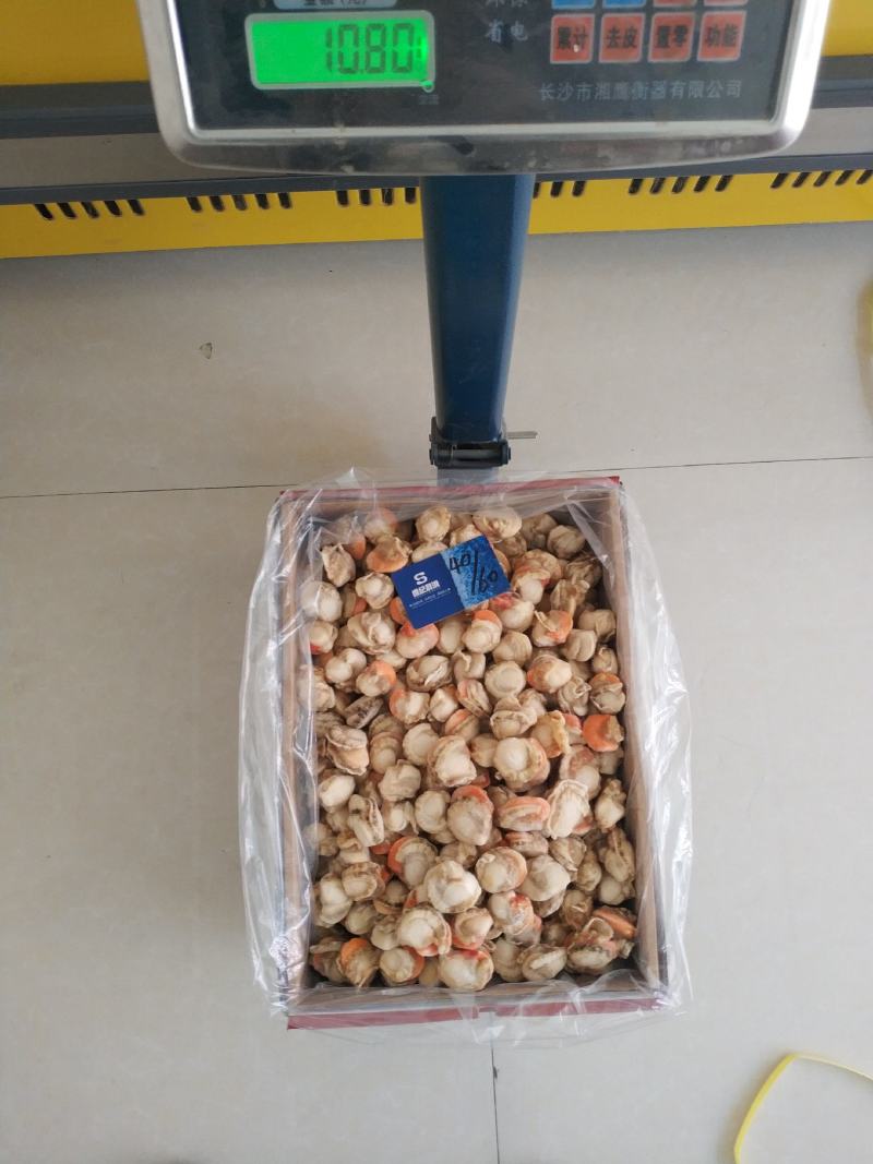 原汁扇贝肉正宗长岛红贝带黄率高每件2包10斤/件