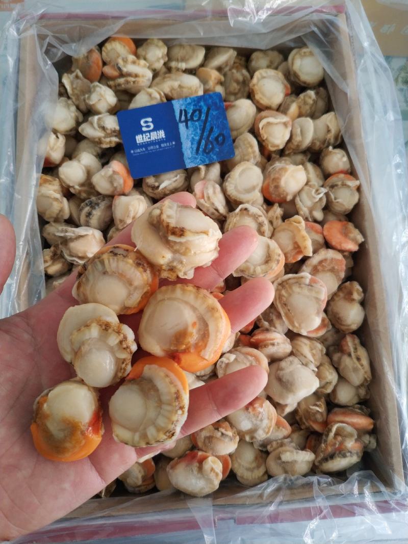 原汁扇贝肉正宗长岛红贝带黄率高每件2包10斤/件