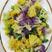 黄花椰菜种子松花菜种子紫花椰菜种子营养丰富口感脆嫩