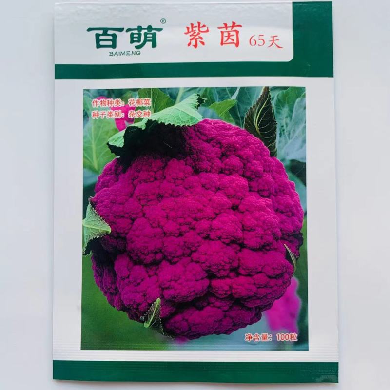 黄花椰菜种子松花菜种子紫花椰菜种子营养丰富口感脆嫩