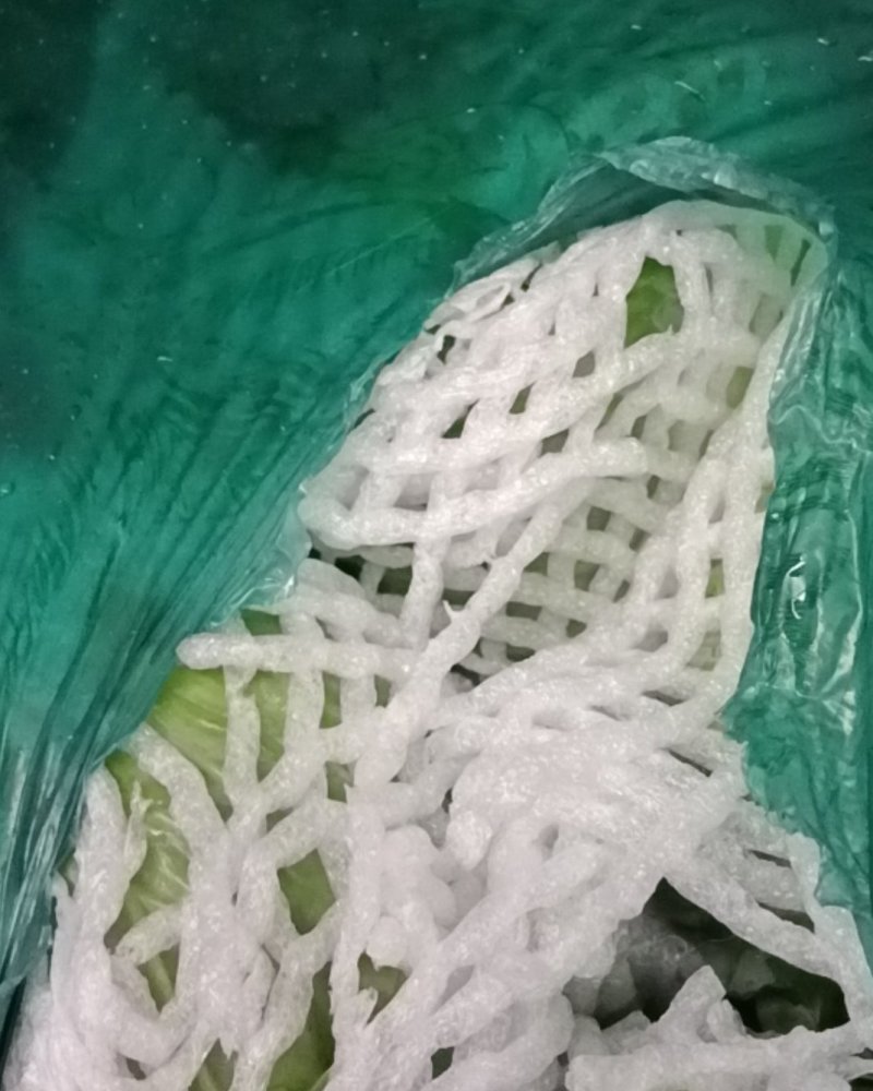 兰州甘蓝