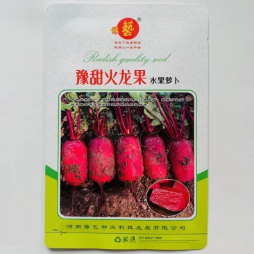早熟红皮红肉水果萝卜种子富含花青素和维生素营养丰富