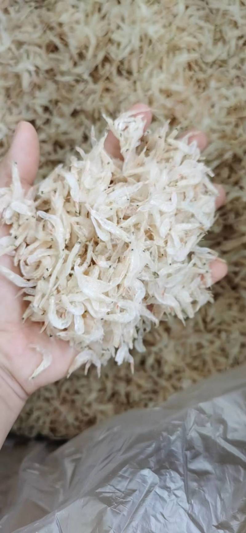 长年批发各种海产品干货，纯一手货源，全国各地发货。