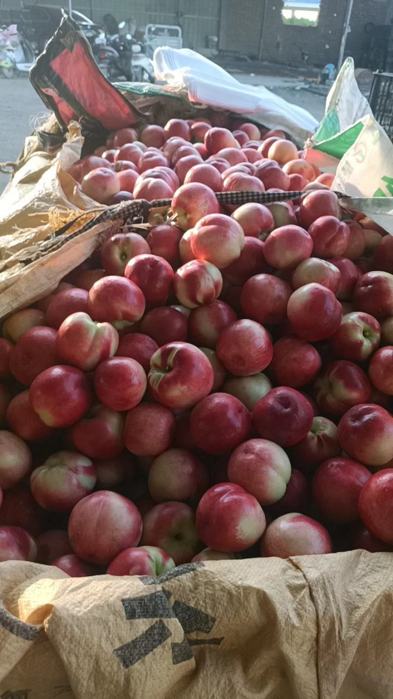 精品中油20货源充足基地直供欢迎各地老板前来咨询
