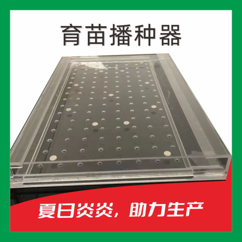 人工小型穴盘播种器辣椒甘蓝白菜包菜西蓝花漂浮盘手持育苗点