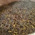 凤凰单丛茶潮州凤凰鸭屎香单枞茶浓香型鸭屎香茶叶高山单枞茶