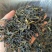 凤凰单丛茶潮州凤凰鸭屎香单枞茶浓香型鸭屎香茶叶高山单枞茶