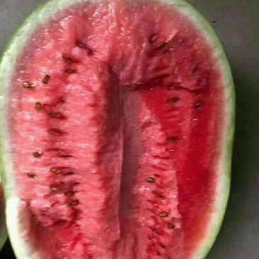 西瓜