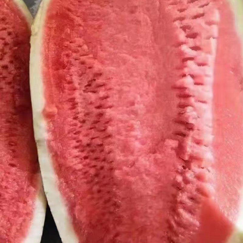 定襄西瓜
