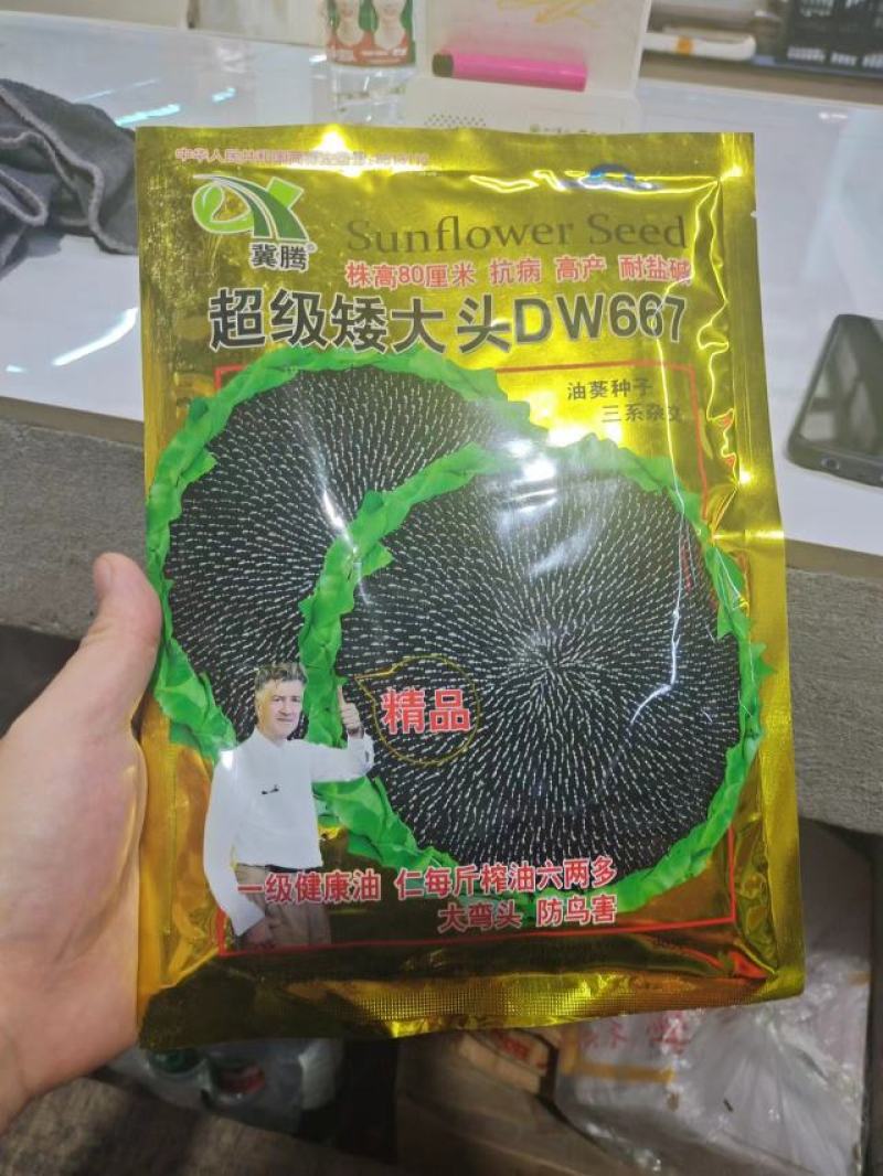 油葵1000亩出售