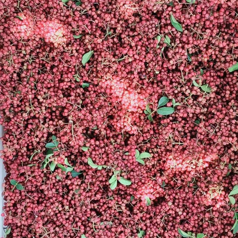 鲜红花椒