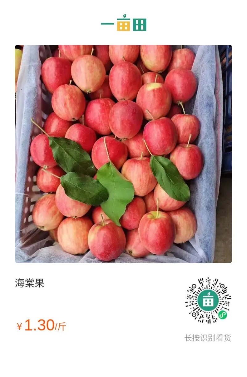 代购