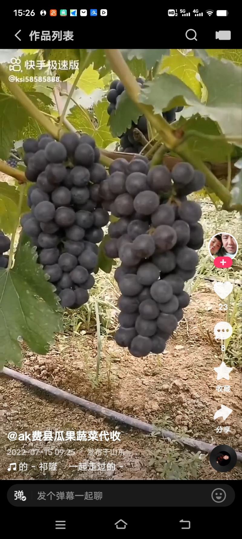 山东临沂费县优质夏黑葡萄大量上市