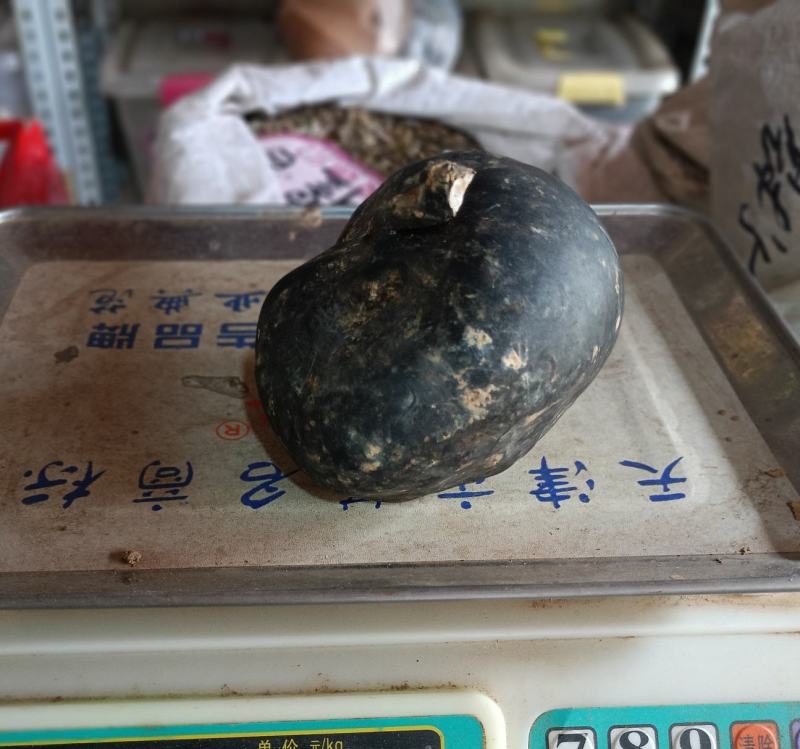乌灵参，王，鸡枞胆，王，全网雷震子王