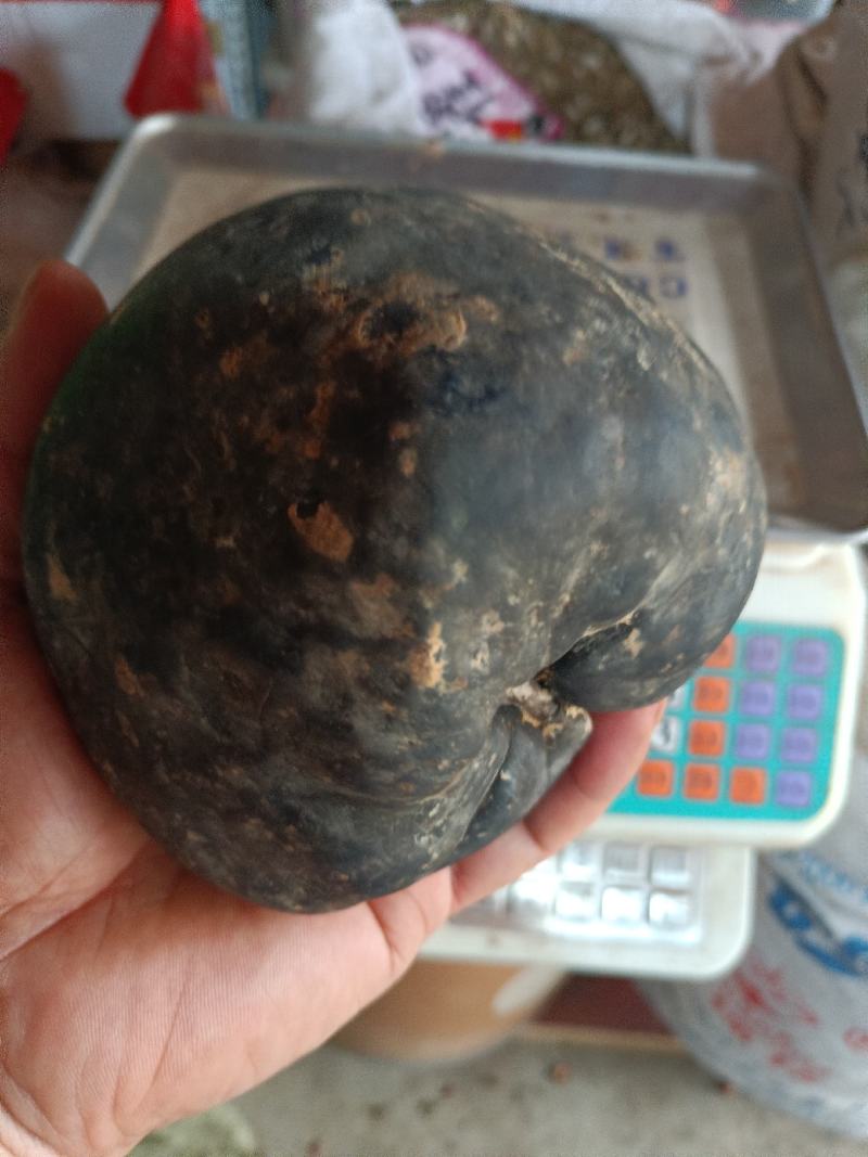 乌灵参，王，鸡枞胆，王，全网雷震子王