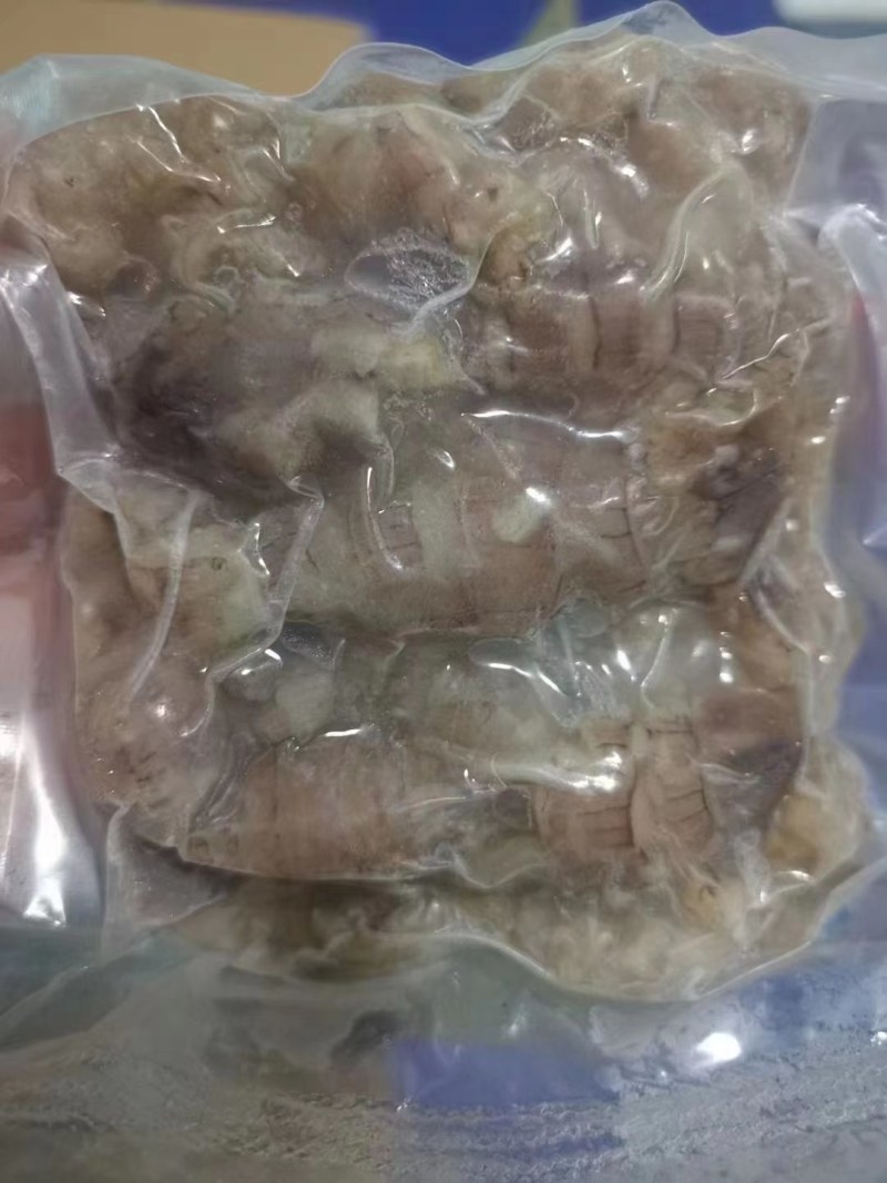 短腿八爪，长腿八爪，虾爬子。皮皮虾