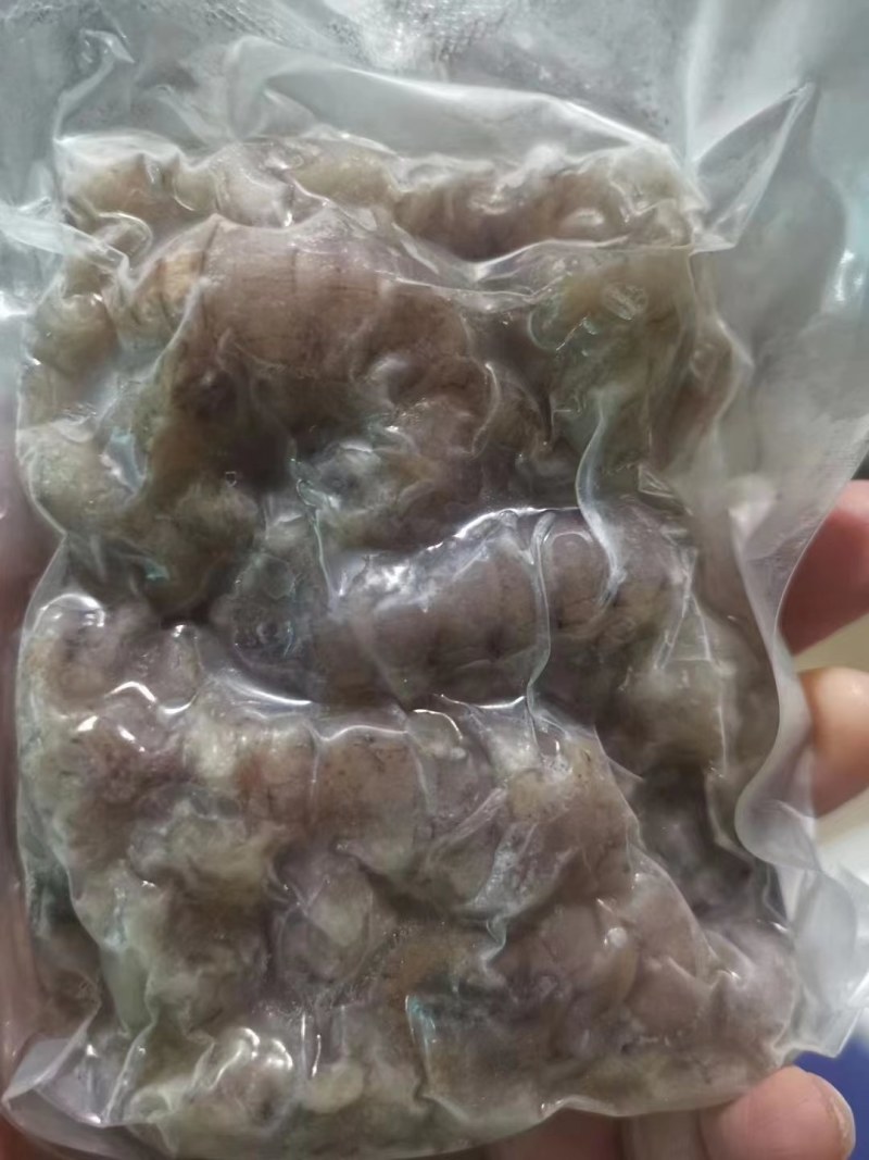 短腿八爪，长腿八爪，虾爬子。皮皮虾