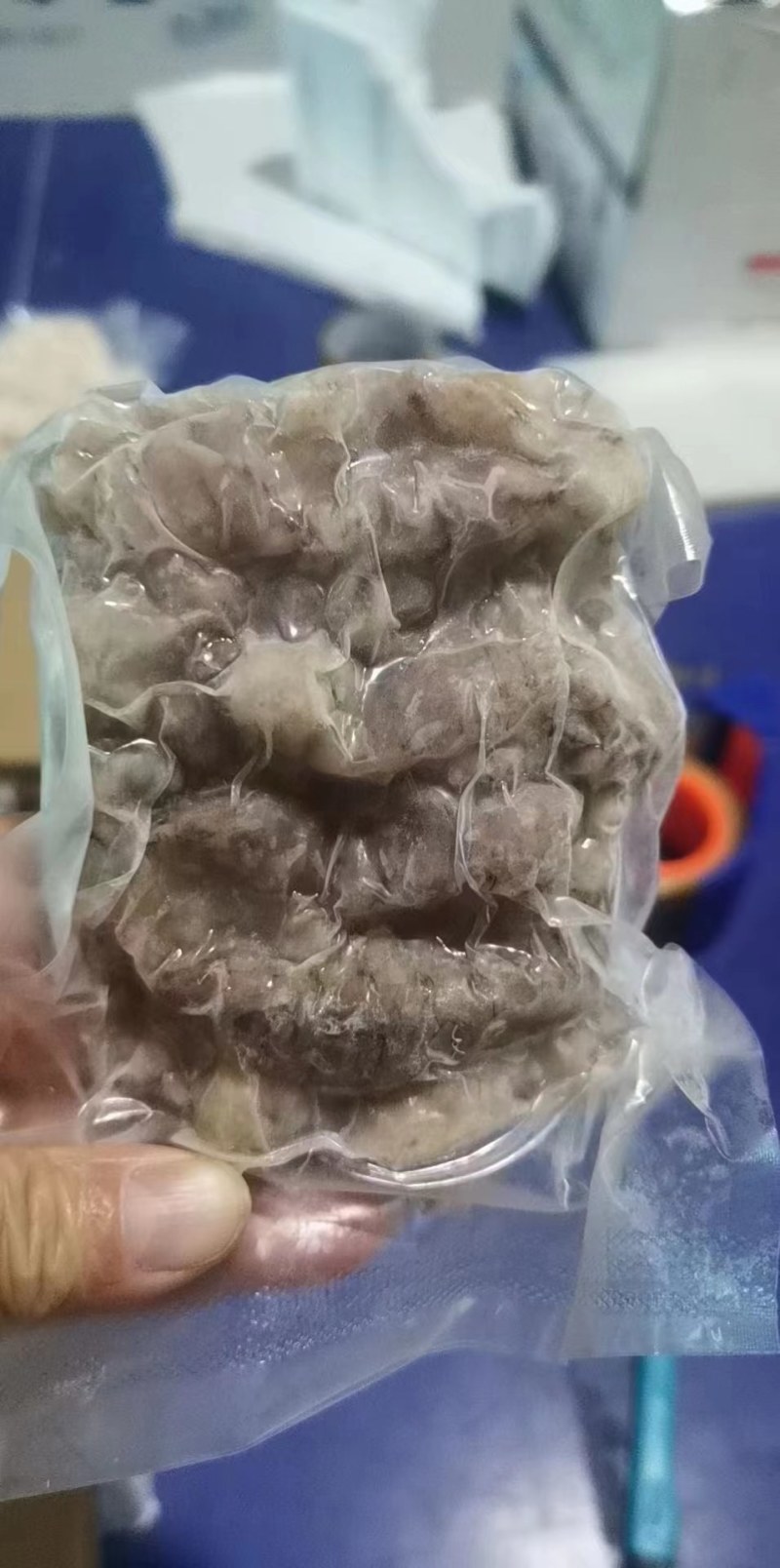 短腿八爪，长腿八爪，虾爬子。皮皮虾