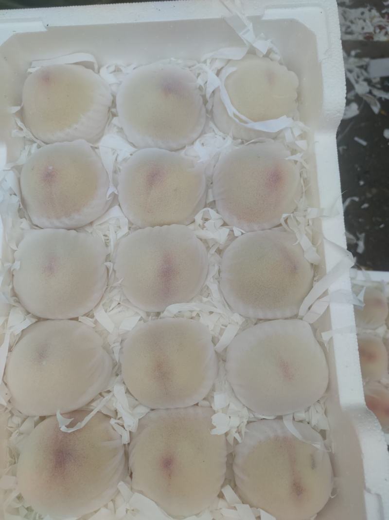 水蜜桃仓库现货