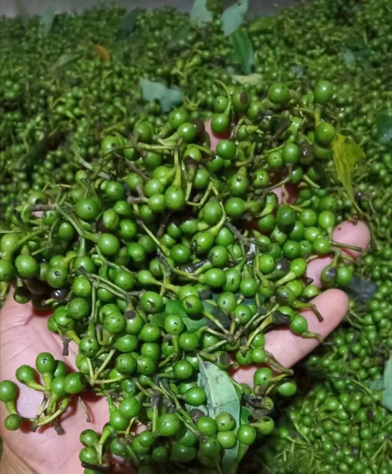 大量出售木姜子，云南货，诚信经营
