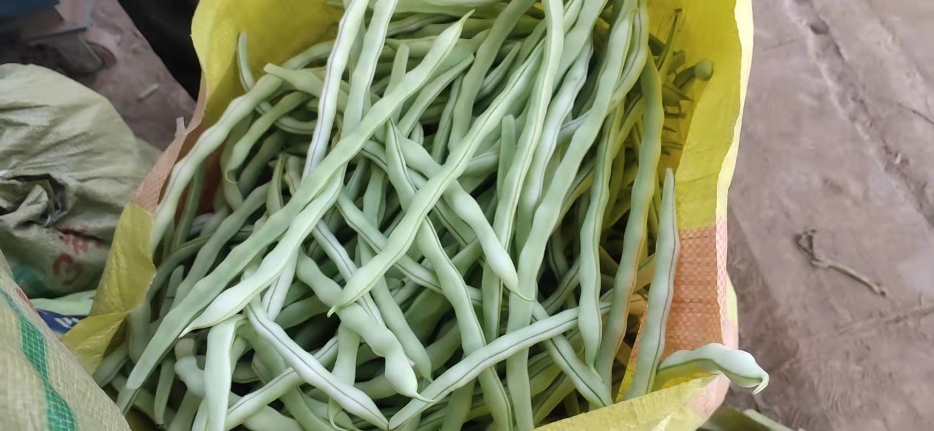 一碗由新鲜菠菜叶和煮熟的扁豆组成的绿色沙拉,配以橄榄油和柠檬汁调味 菠菜与扁豆搭配的健康沙拉