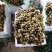 皮薄肉厚，核小超甜的广东储良，石硖，产地直供，价格美丽