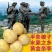 湖南文明半条被子水果之乡黄金奈李一件代发