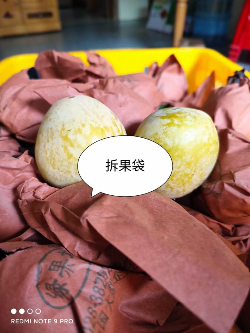 湖南文明半条被子水果之乡黄金奈李一件代发