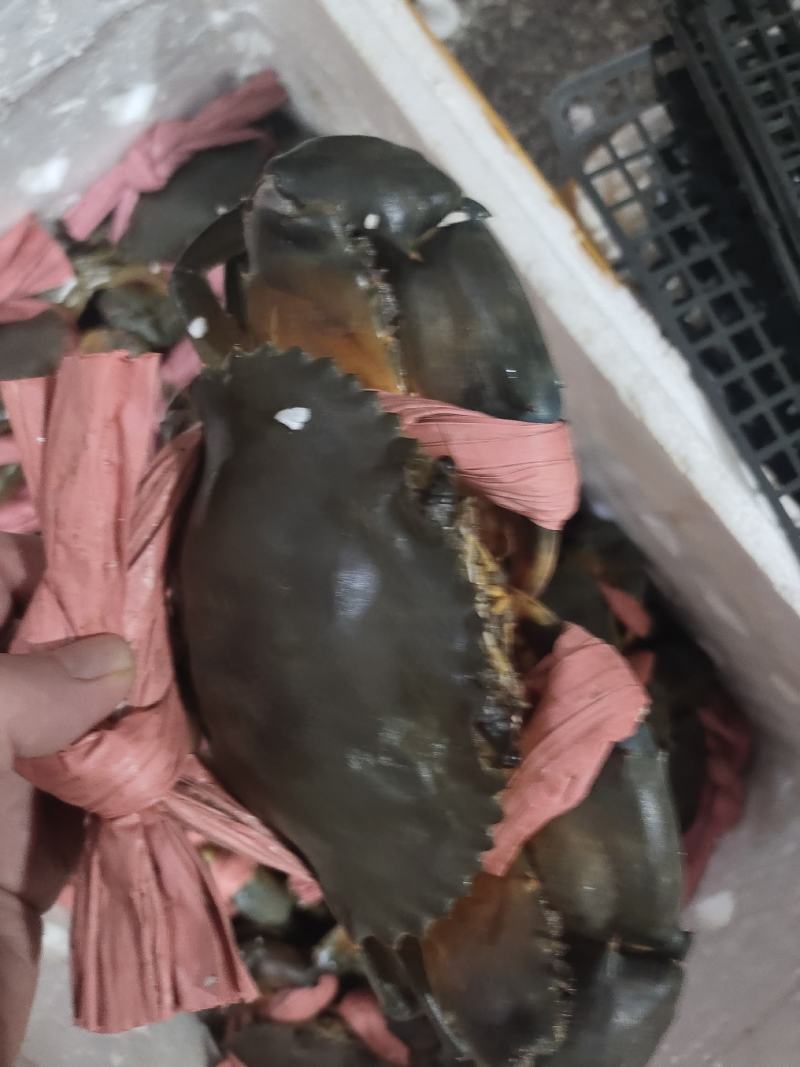 场地直销，货源充足，