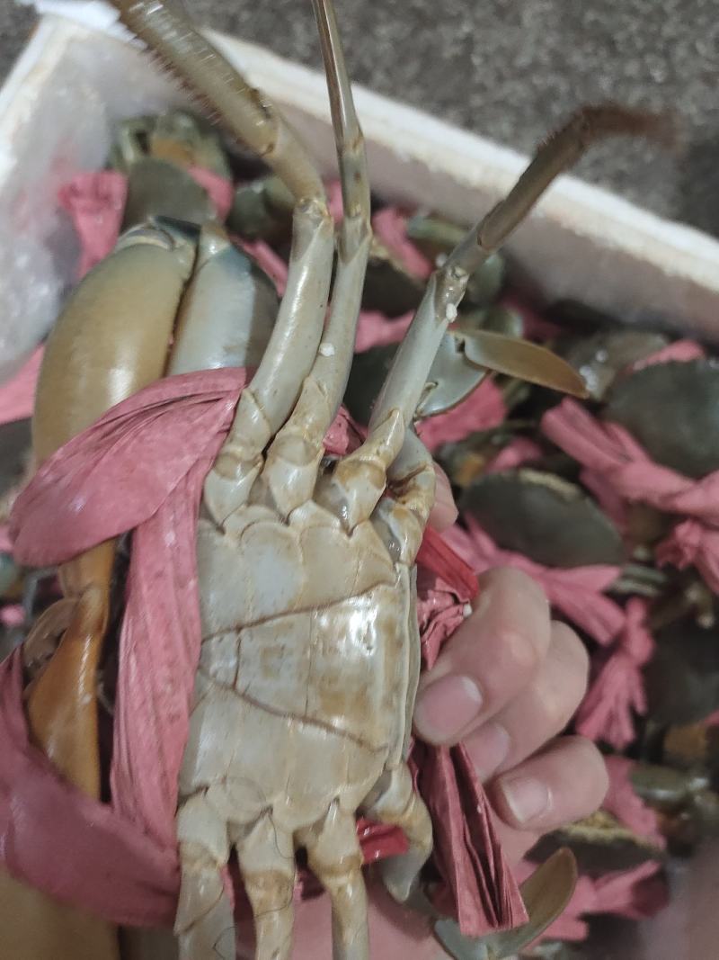 场地直销，货源充足，