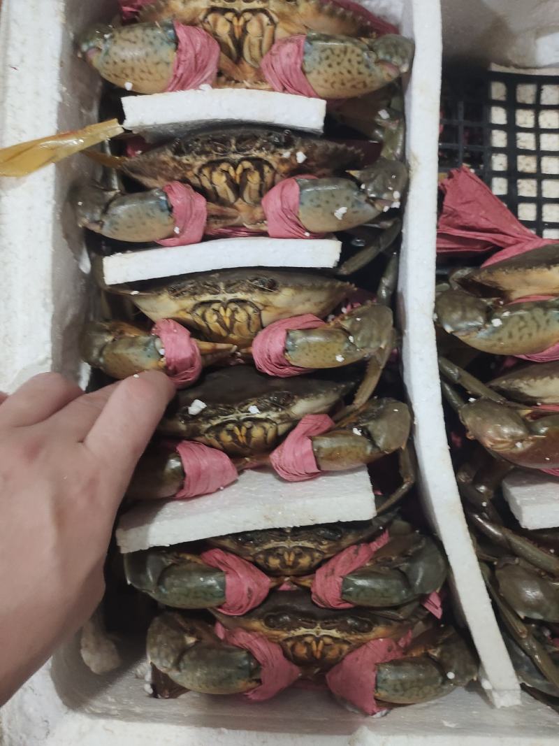 场地直销，货源充足，
