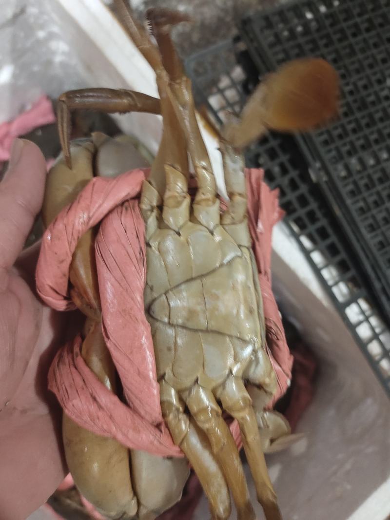 场地直销，货源充足，