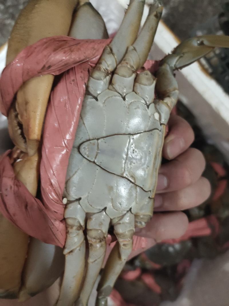 场地直销，货源充足，