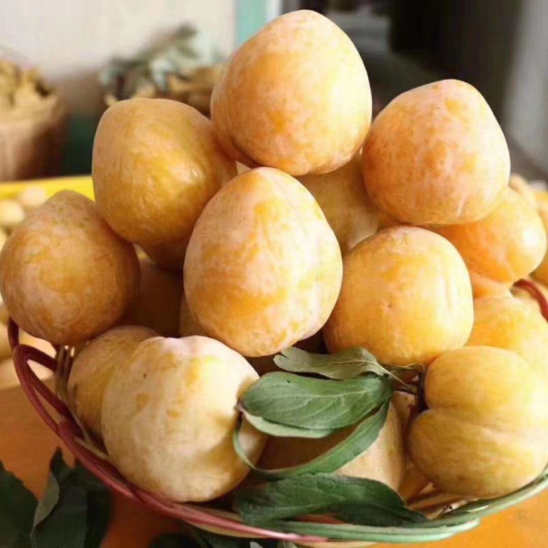 炎陵奈李，自有基地，可代办，一件代发，欢迎平台对接