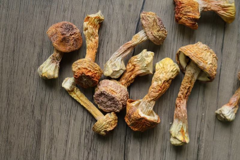 广州人B厂姬松茸