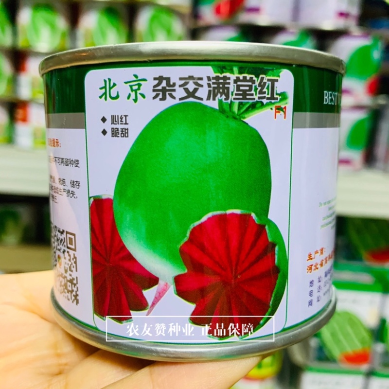 心红脆甜北京杂交满堂红萝卜种子水分大糖度高西瓜红萝卜种子
