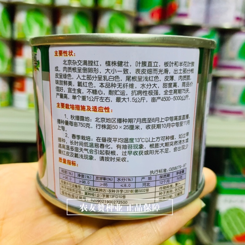 心红脆甜北京杂交满堂红萝卜种子水分大糖度高西瓜红萝卜种子