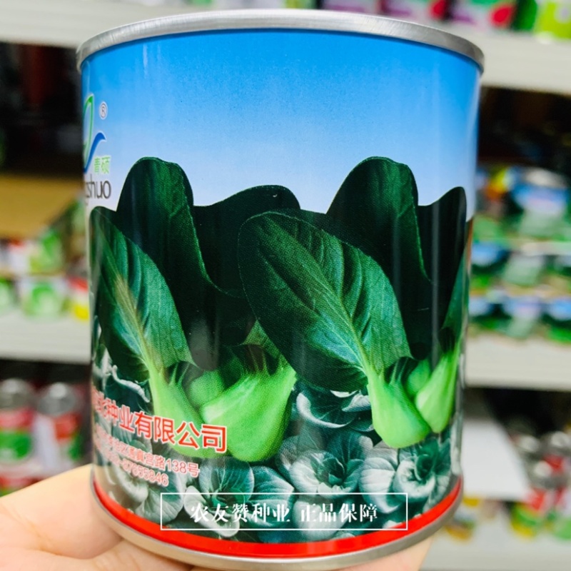 墨丽黑叶苏州青种子矮箕束腰基部肥厚口感好高产抗病