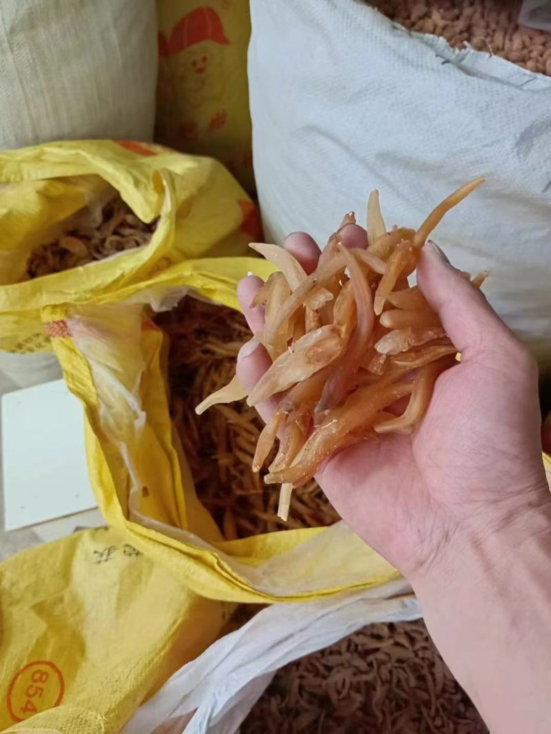 天冬，去皮，现货2吨