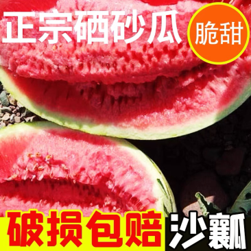 【爆款推荐】甘肃硒砂瓜金花金城产地直供代发全国