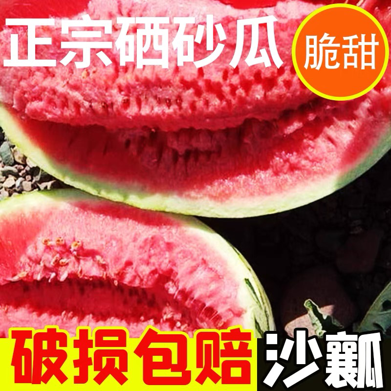 【爆款推荐】甘肃硒砂瓜金花金城产地直供代发全国