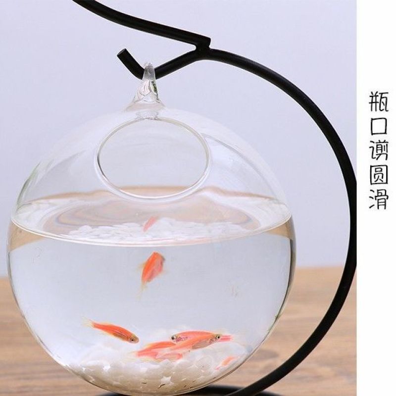 现代简约透明养鱼玻璃花瓶创意家居摆件桌面小鱼缸客厅办公装