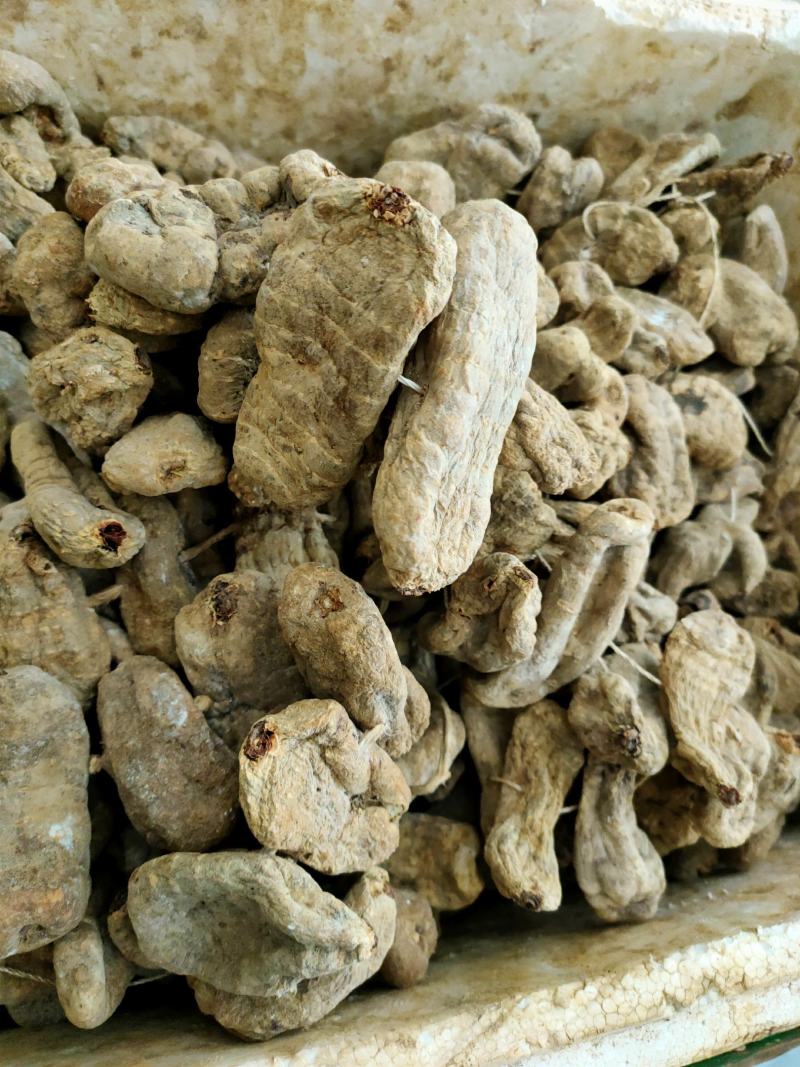 一朵云鲜货干货。大量供应，价格美丽。小阴地蕨