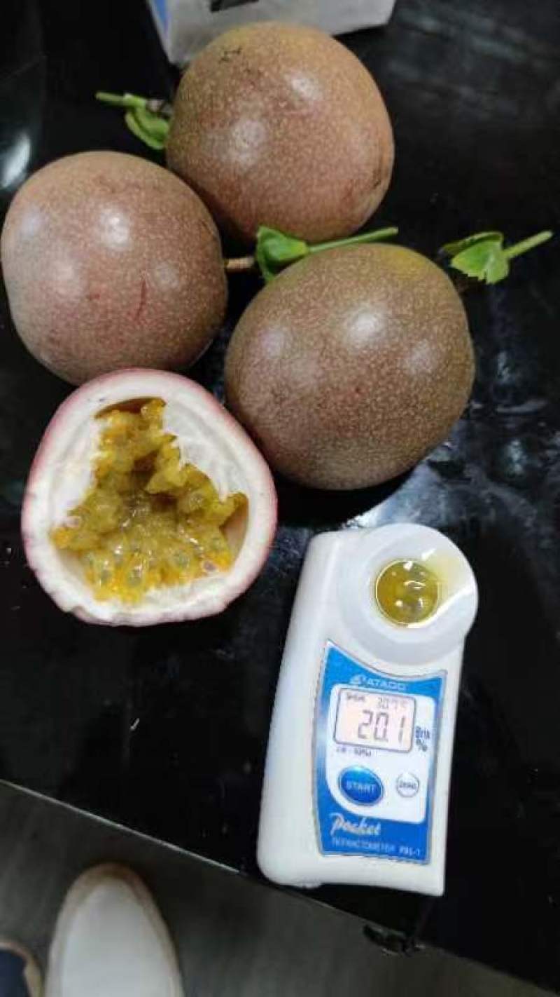 百香果