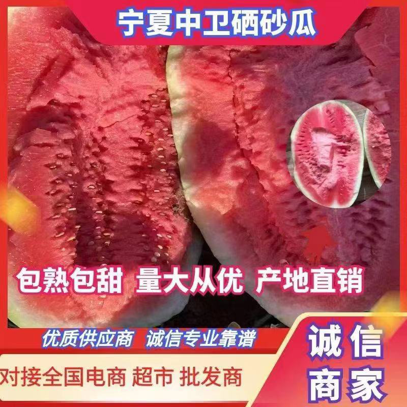 【硒砂瓜】宁夏产地直供金花金城系列。代发全国