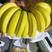 菲律宾香蕉大量现货，质量保证价格实惠厂家直销
