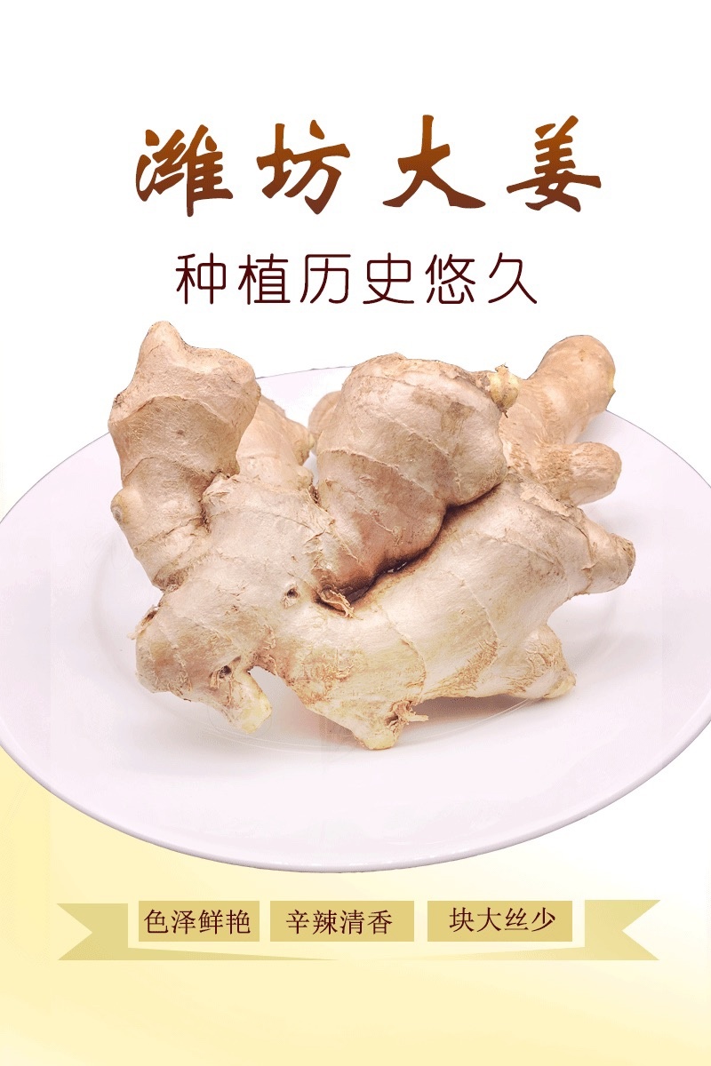 山东生姜大黄姜窖藏新鲜老姜月子姜支持一件代发2/3/5斤